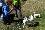 24 Stelina incontra una cagnolina quasi tutta come lei